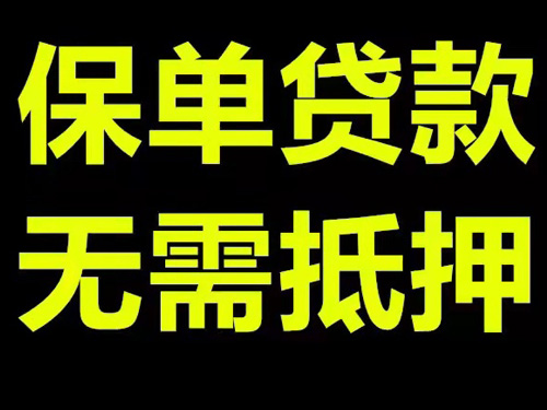 哈尔滨保单贷款